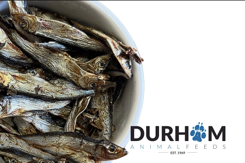 Dried Sprats